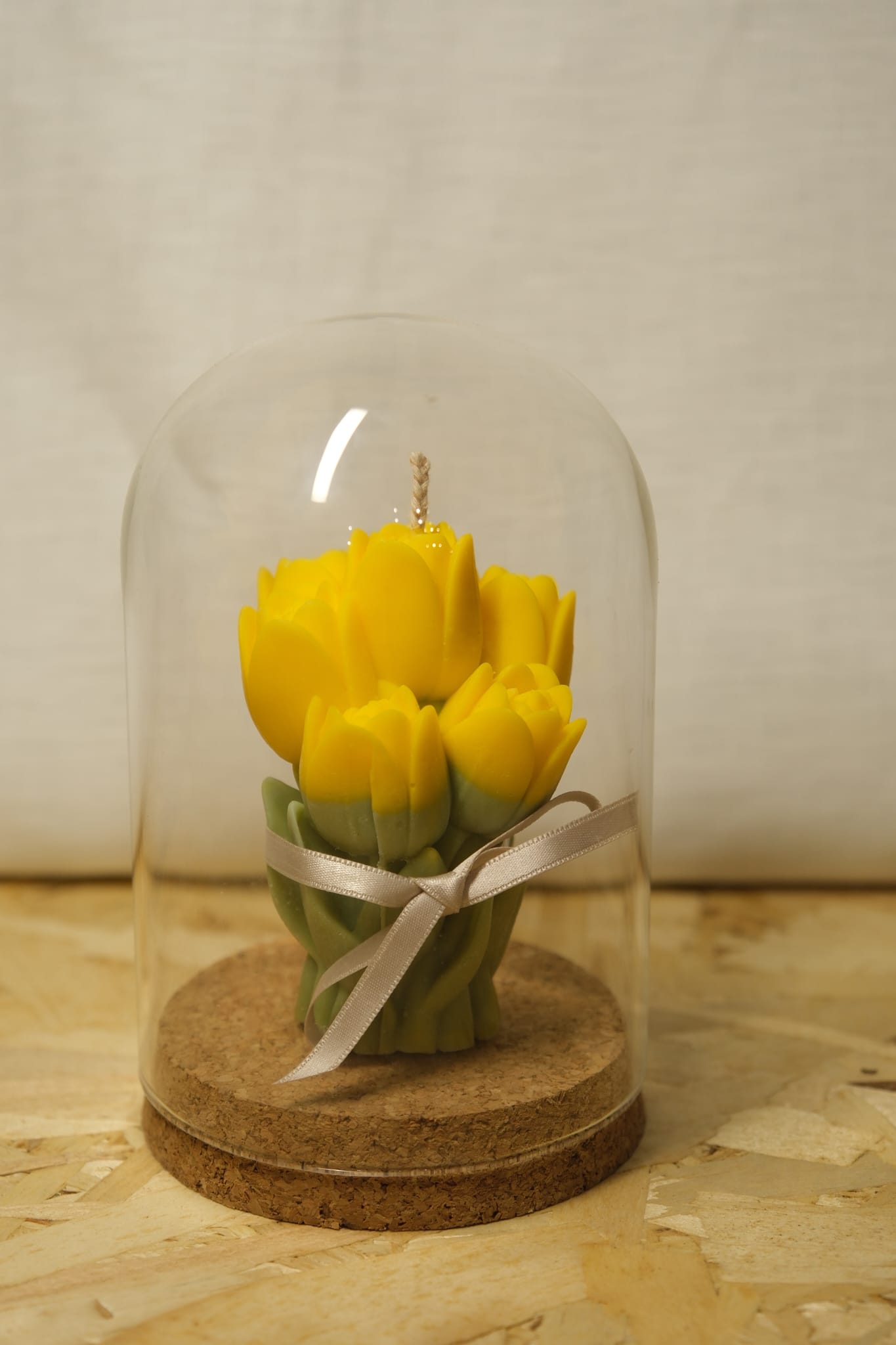 Tulipa aromática em copula de vidro